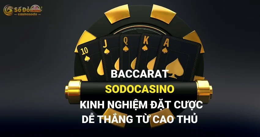 Baccarat SODO CASINO - Kinh Nghiệm Đặt Cược Dễ Thắng Từ Cao Thủ