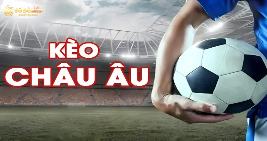Hướng Dẫn Cách Đọc Kèo Châu Âu Và Các Thuật Ngữ Cơ Bản