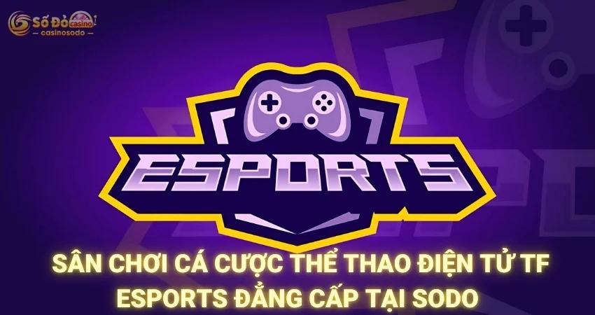TF Esports - Sân Chơi Cá Cược Thể Thao Điện Tử Đẳng Cấp Tại SODO